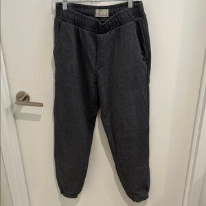 Everlane Dark Gray Jogger Pants